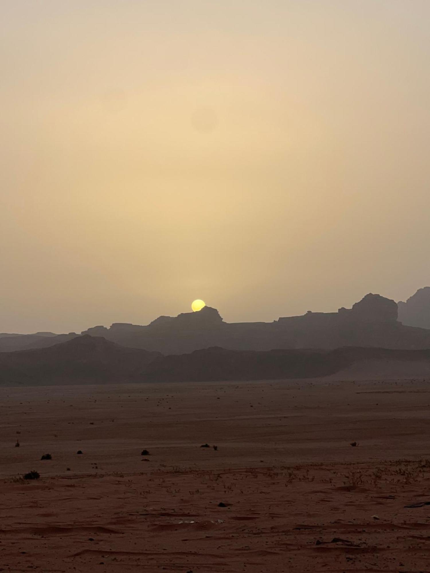 Angelina Wadi Camp Wadi Rum