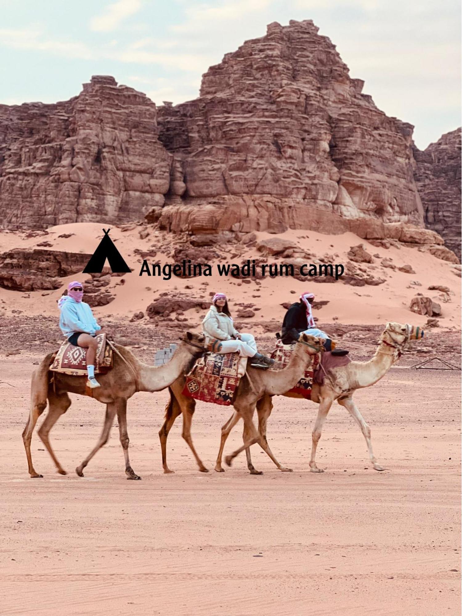 公寓 Angelina Wadi Camp *